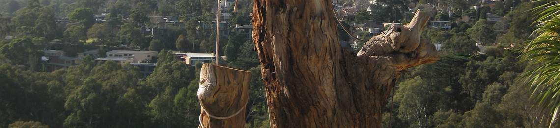 Tree Stump Removal